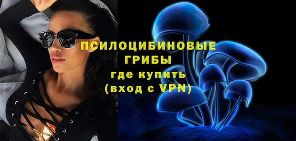 гидра Аркадак
