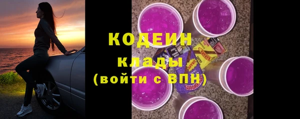 крисы Армянск