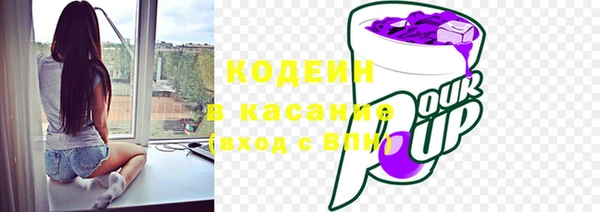 крисы Армянск