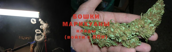 крисы Арсеньев