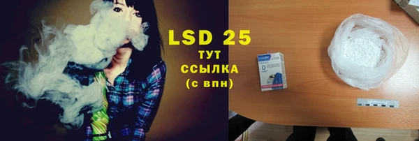 гидра Аркадак