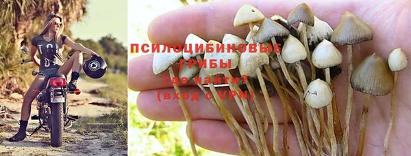 гидра Аркадак