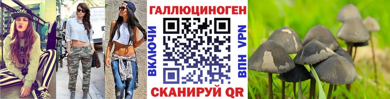 купить наркотик  omg ONION  Псилоцибиновые грибы MAGIC MUSHROOMS  Могоча 